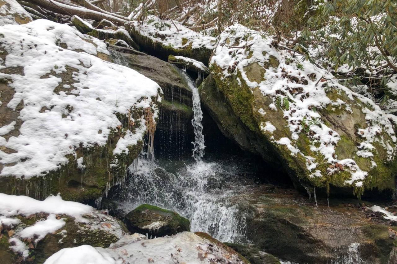 Waterfall Cabin McCookville エクステリア 写真