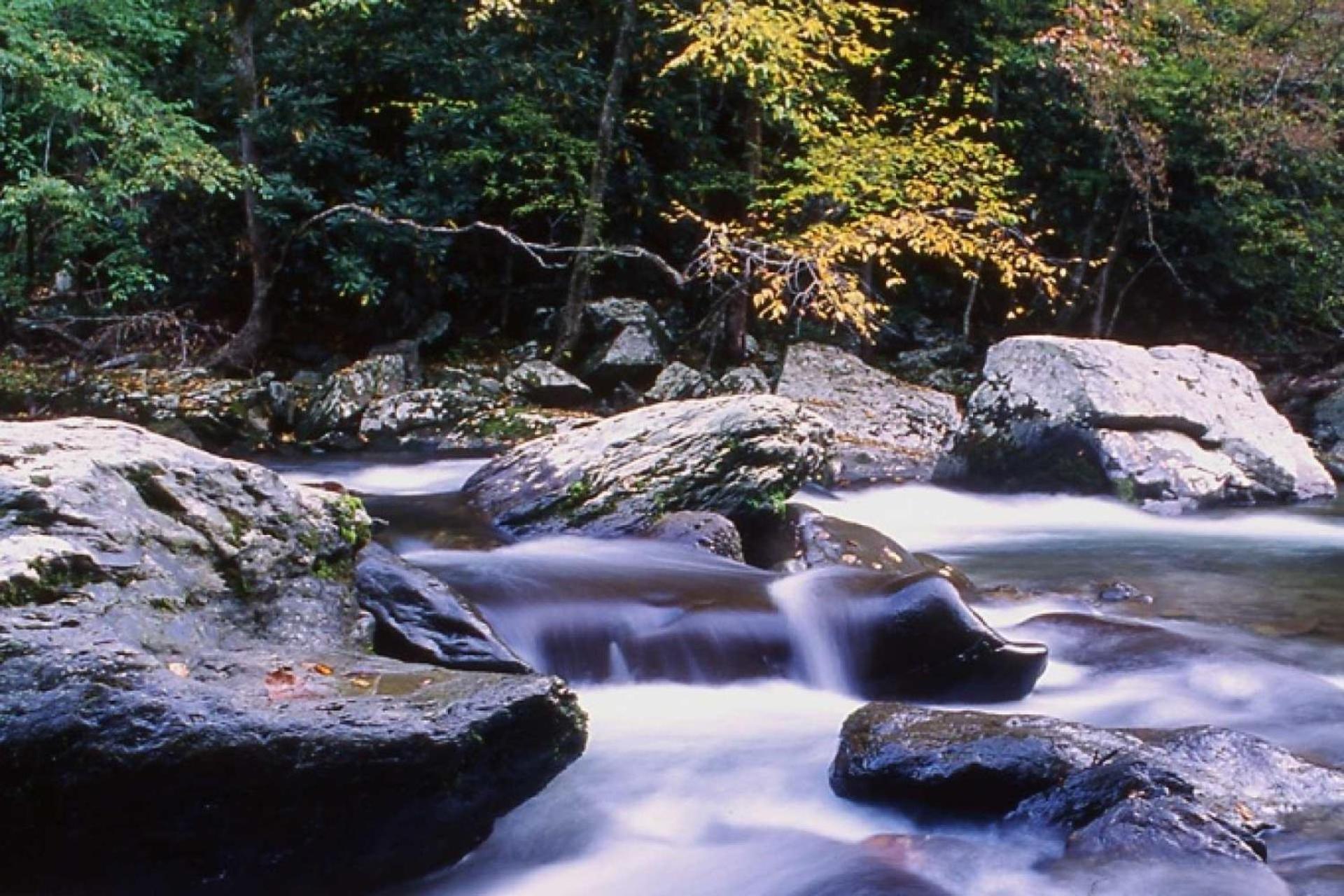 Waterfall Cabin McCookville エクステリア 写真
